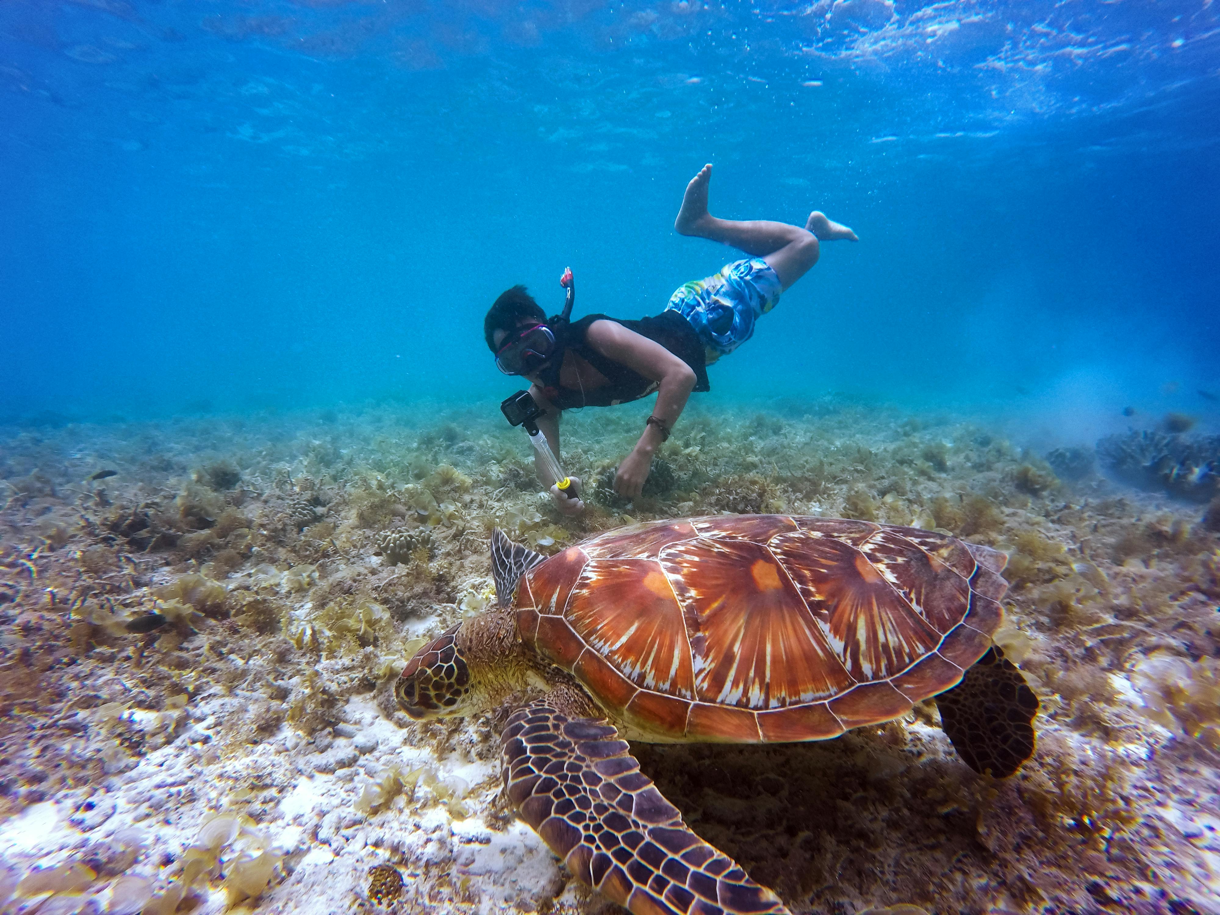 Andaman Island Outback Resort